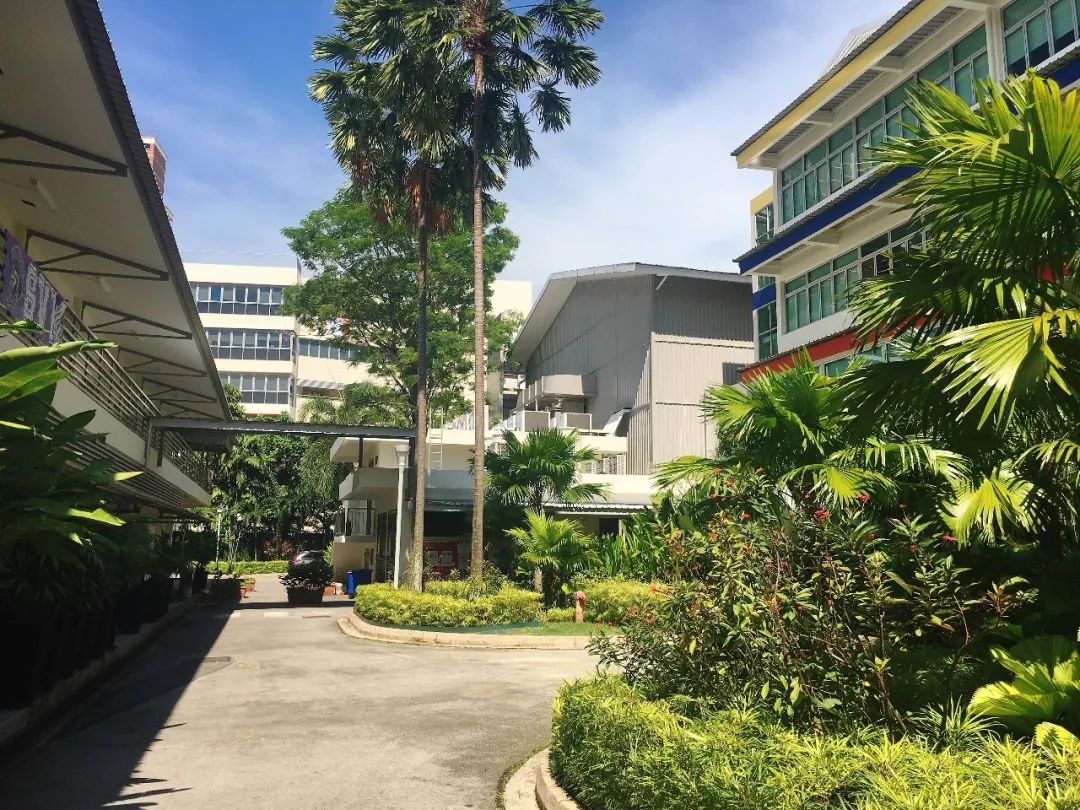 新加坡英华国际学校 新加坡英华国际学校