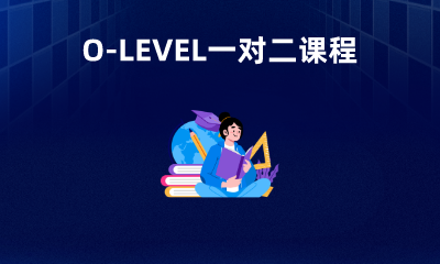 O-LEVEL一对二课程