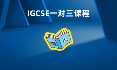 IGCSE一对三课程