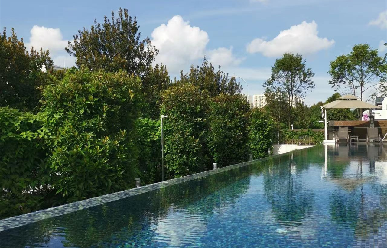 高文地铁站200米豪华别墅普通间出租