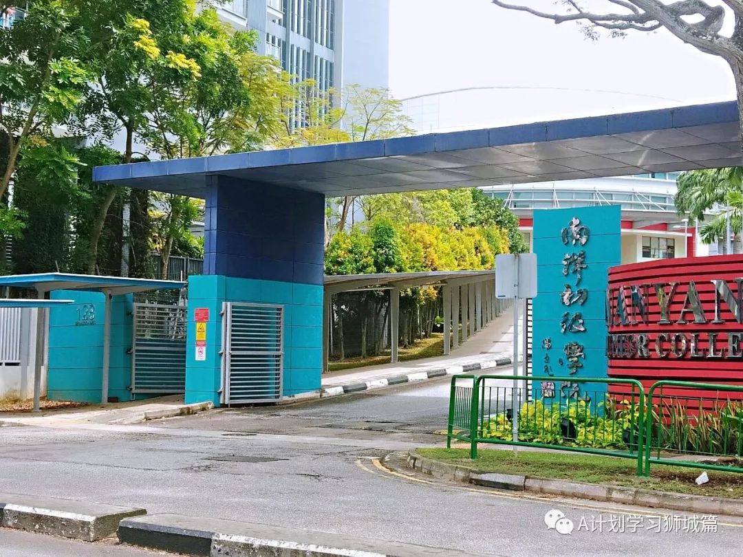 新加坡初级学院的特殊课程