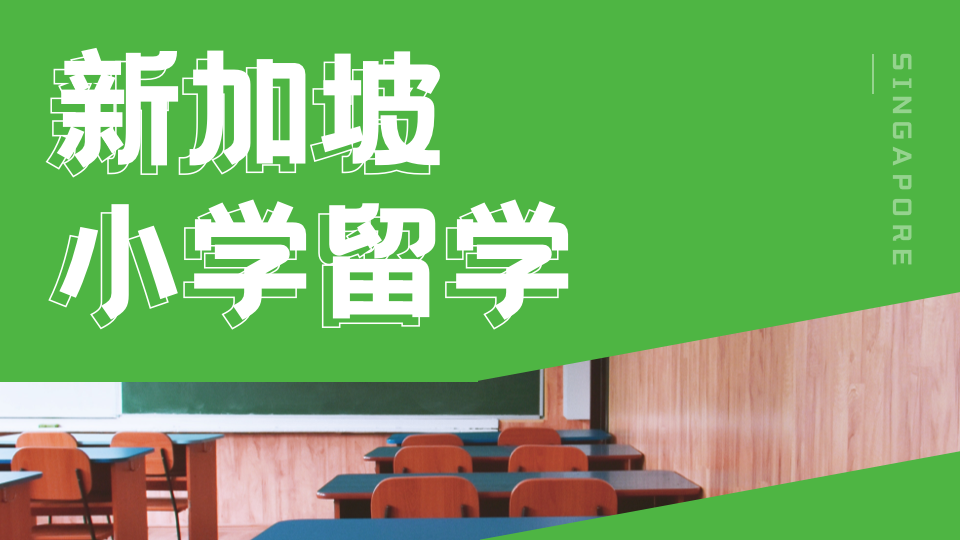 新加坡公立小学有什么好？