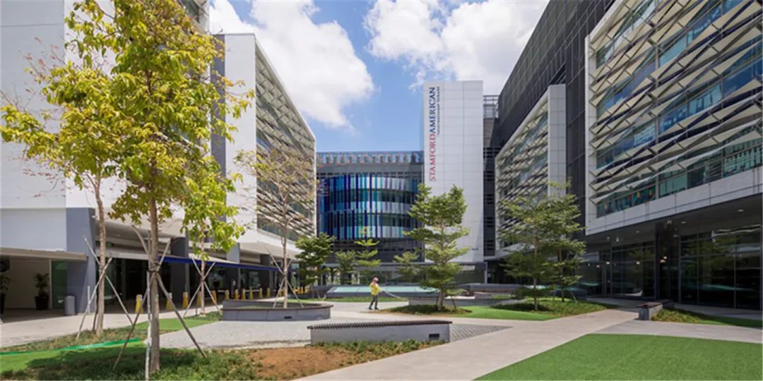 新加坡顶流学校——SAIS，同时提供IB和AP课程。