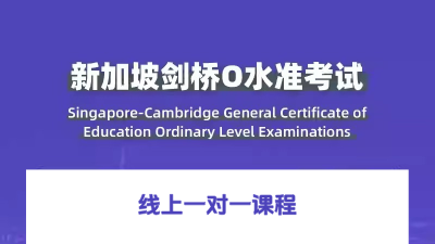 O-Level考试在线一对一课程