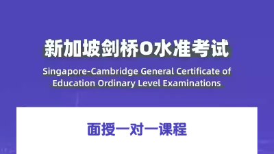 O-Level考试面授一对一课程