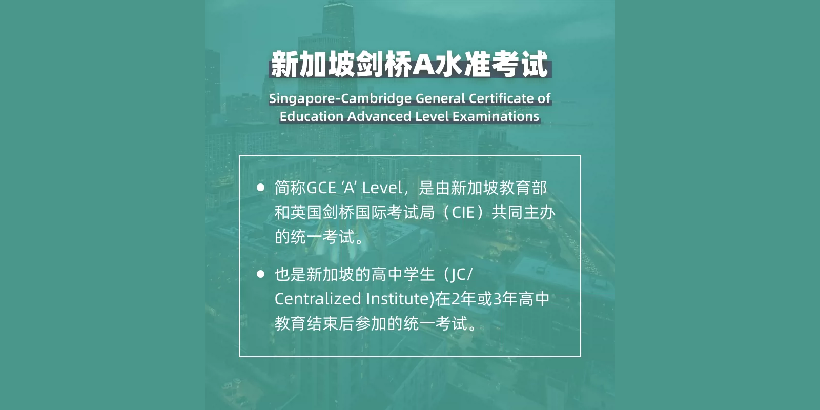 新加坡A-Level一对一培训 线上直播/线下面试