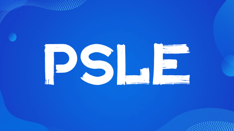 新加坡PSLE考试改革：新动向与学生影响全析