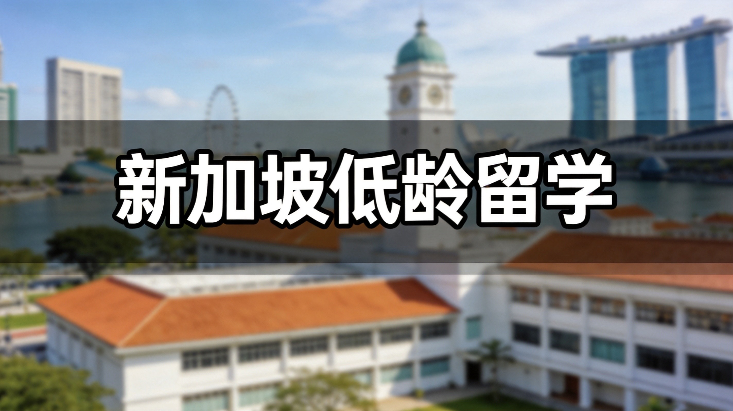 专家答疑：国内不同年级学生，新加坡留学最优规划(小学 / 初中 / 高中分段)