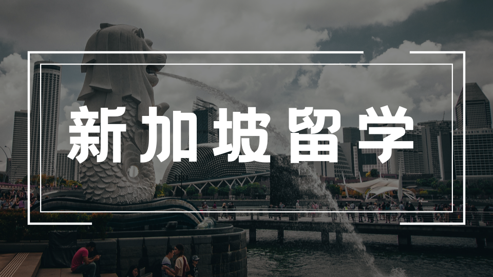 新加坡公立大学高性价比冷门专业推荐|低分捡漏、就业率高、留新稳岗