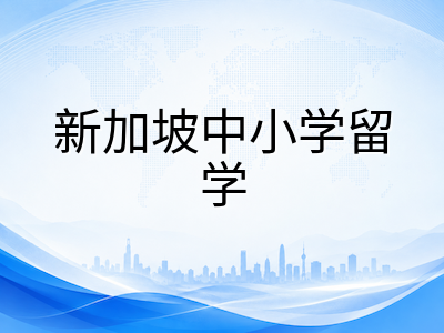 新加坡政府中小学学费标准与AEIS录取后入学流程详解：中国家庭必读的实操指南