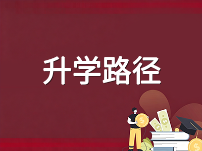新加坡全面科目编班制下，AEIS考生如何理解G1/G2/G3选课机制与升学路径