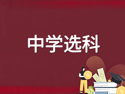 新加坡中学SEC新考制2027年首考在即：G1至G3科目编班体系下国际学生选科与升学路径全规划