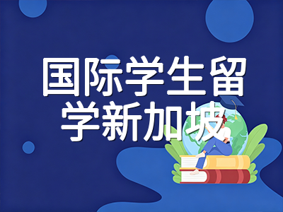 2026年AEIS考后衔接全攻略：成绩查询时间线、S-AEIS补考机会与新加坡政府学校入学备选路径