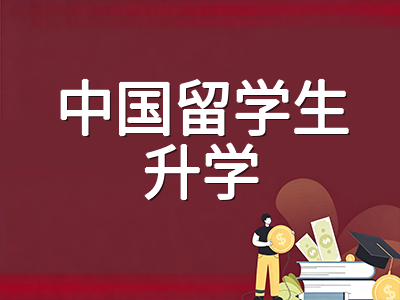 新加坡O水准考后升学双通道：初级学院L1R5录取梯队与理工学院热门专业2026择校指南