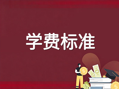 2027年新加坡五所理工学院DAE直申窗口即将开放：国际学生申请路径、学术门槛与学费全梳理