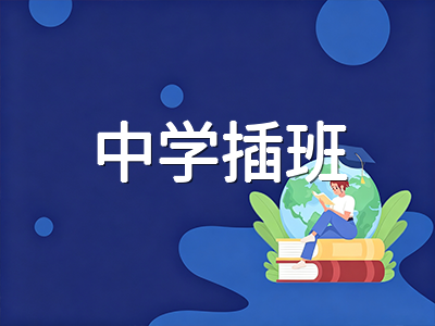 2027年S-AEIS考试报名将于1月开启：小学CEQ成绩门槛、中学笔试科目与备考时间线全梳理