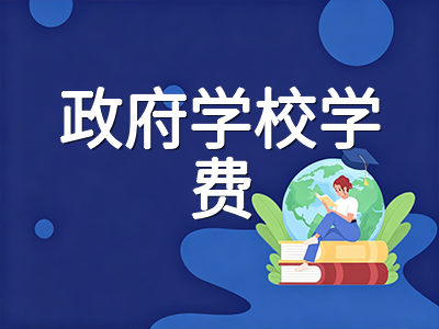 新加坡陪读家庭年度留学账单拆解：政府学校学费、租房与日常开销全景测算