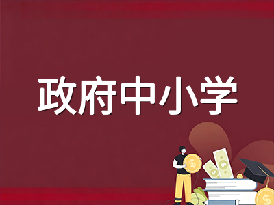 新加坡政府中小学免AEIS直入通道全梳理：DP、LTVP与IEO持有者入学操作手册