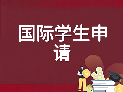 新加坡理工学院2027学年DAE直申10月19日开放：五校国际学生申请窗口、材料规范与入学测试全梳理