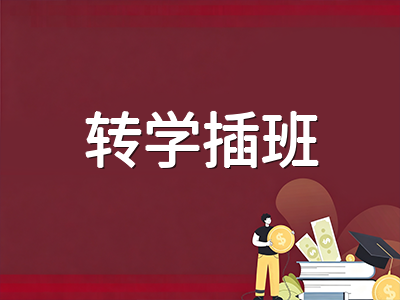 新加坡政府中小学转学插班全解析：国际学生中途入学的条件、流程与注意事项
