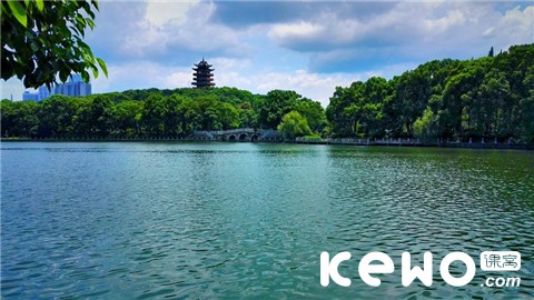 想进新加坡政府中小学?你需要帮孩子这样准备AEIS考试!